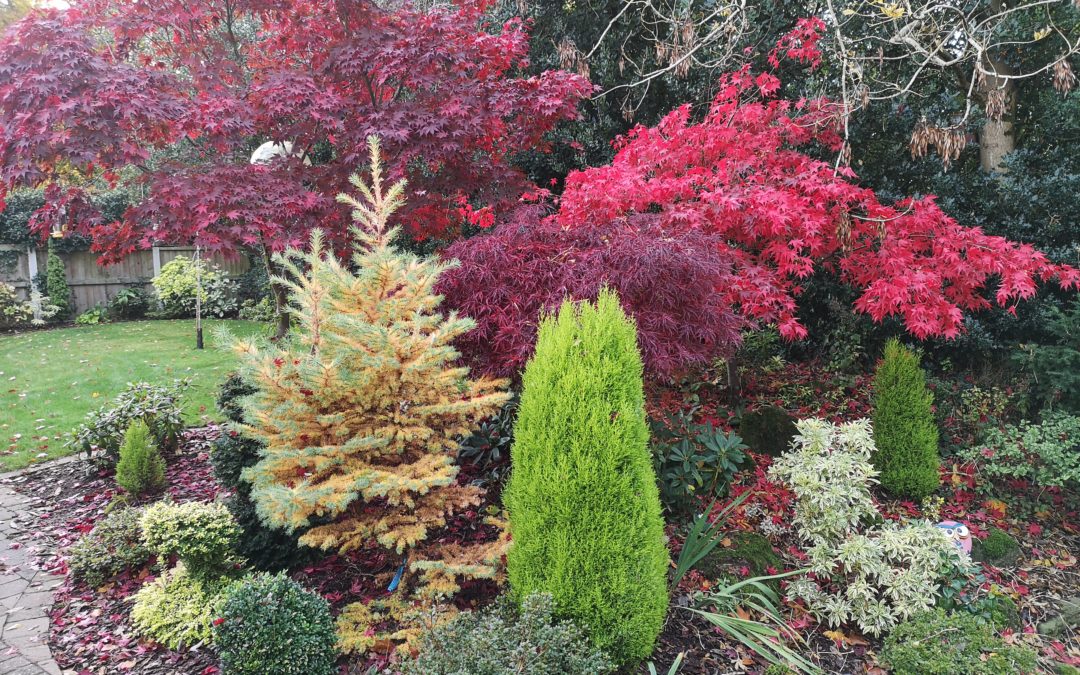 February Gardening Tips: Why Spring Starts Earlier Than You Think