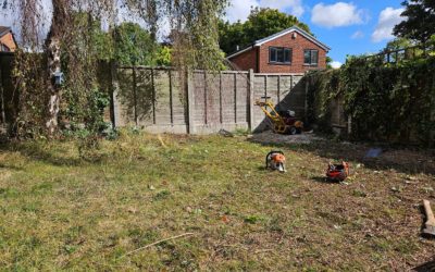 Complete Front and Back Garden Transformation: Low Maintenance Design in Brierley Hill