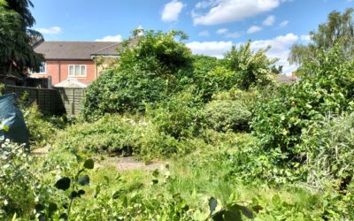 Low Maintenance Garden Transformation in Halesowen
