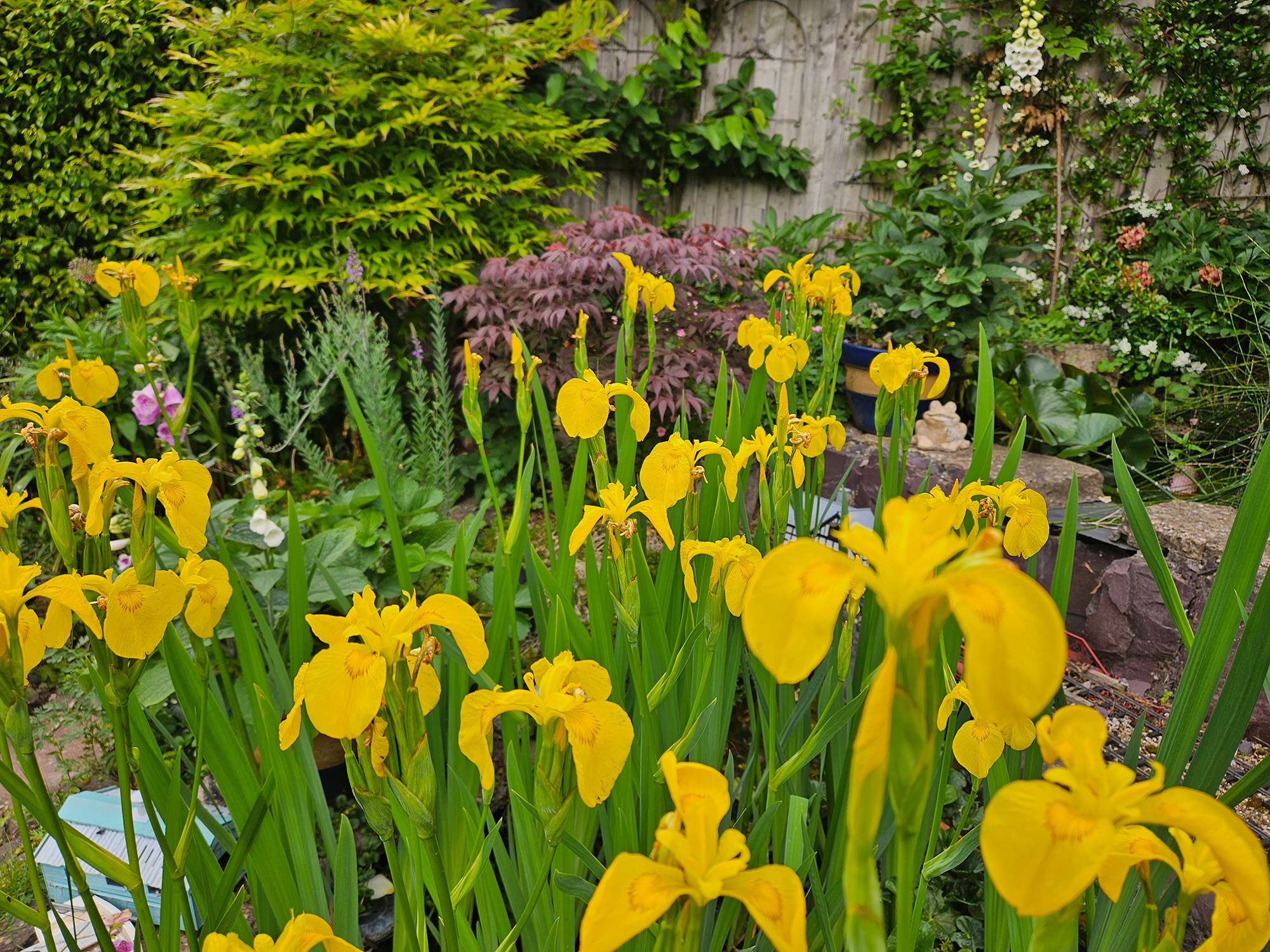 How to Get the Most Out of Your Garden This Summer