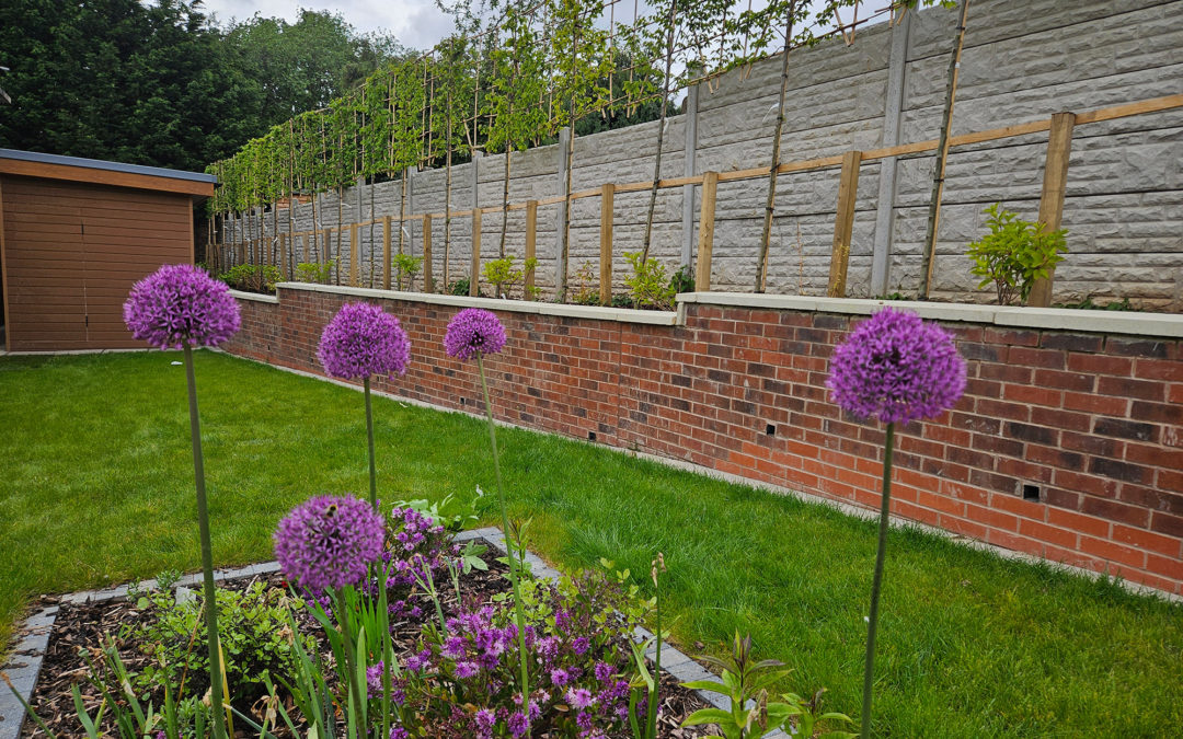 Why We Fight for the Traditional English Lawn Over artificial grass