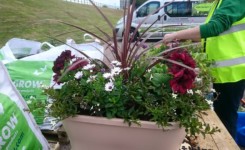 Flower Arrangement