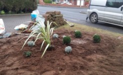 MDK Garden Services Front Lawn Feature 2