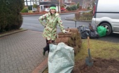 MDK Garden Services Front Lawn Feature