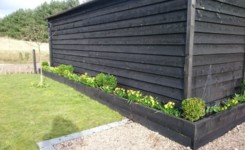 MDK Garden Services Spring Plants